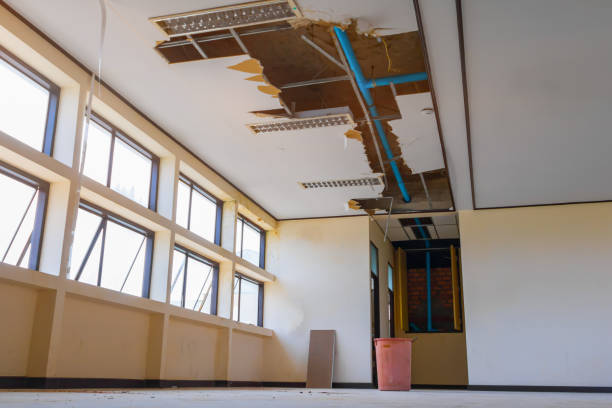 Best Professional water damage repair  in Haverhill, MA