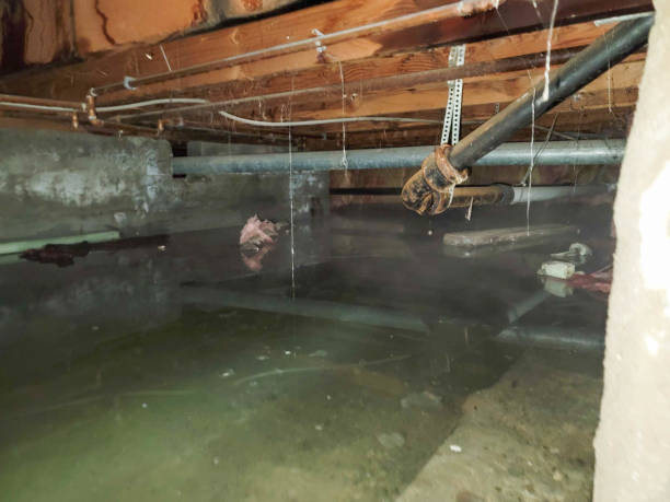 Best Water damage cleanup near me  in Haverhill, MA