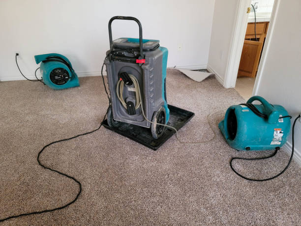 Best Flood damage cleanup  in Haverhill, MA