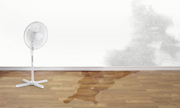 Carpet water damage restoration in Haverhill, MA