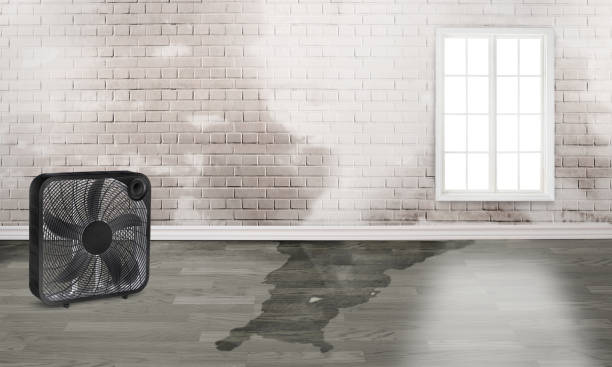 Water damage restoration mold remediation in Haverhill, MA