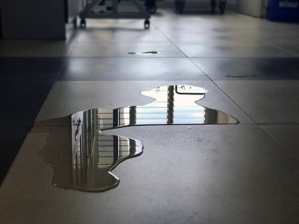 Best Water damage restoration near me  in Haverhill, MA