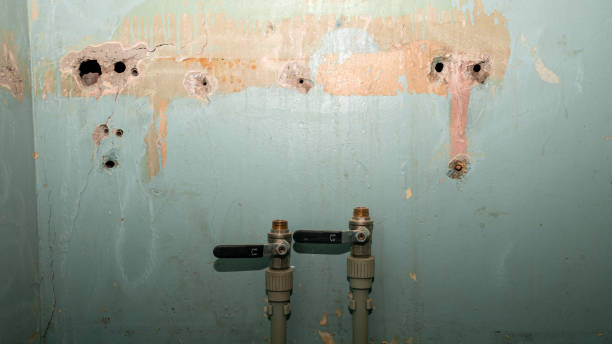 Best Water damage restoration services  in Haverhill, MA